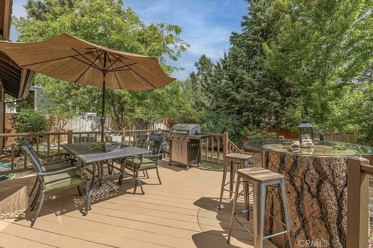 Vacation Rentals (United States of America, Big Bear, California)