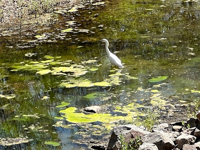 Vacation Rentals (United States of America, Medicine Park, Oklahoma)