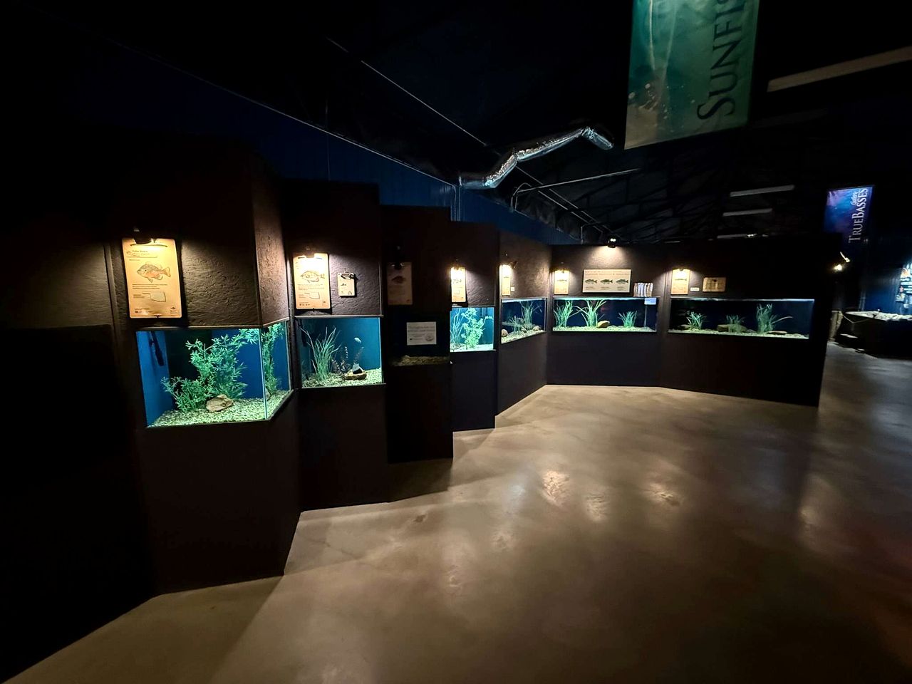 Cozy Tiny House with Rooftop Deck near Wichita Mountains in Medicine Park, Oklahoma