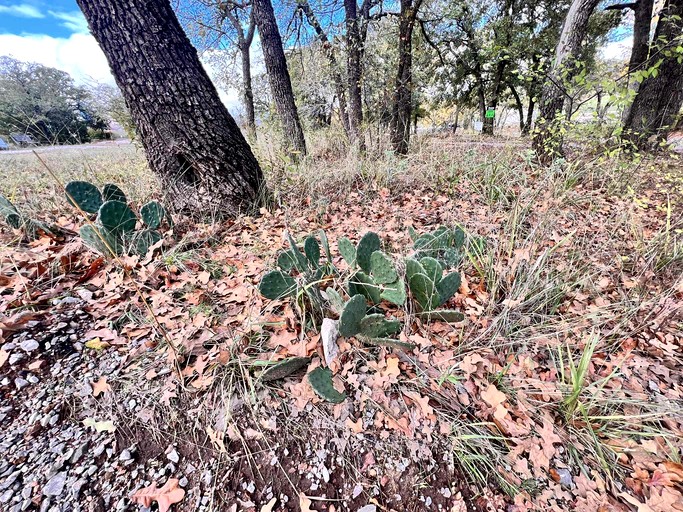 Vacation Rentals (United States of America, Medicine Park, Oklahoma)