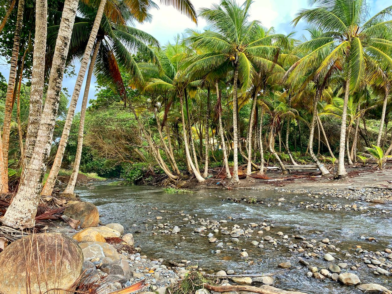 Relaxation Retreat: Fabulous Rental with Swimming Pool in Sainte-Marie, Martinique