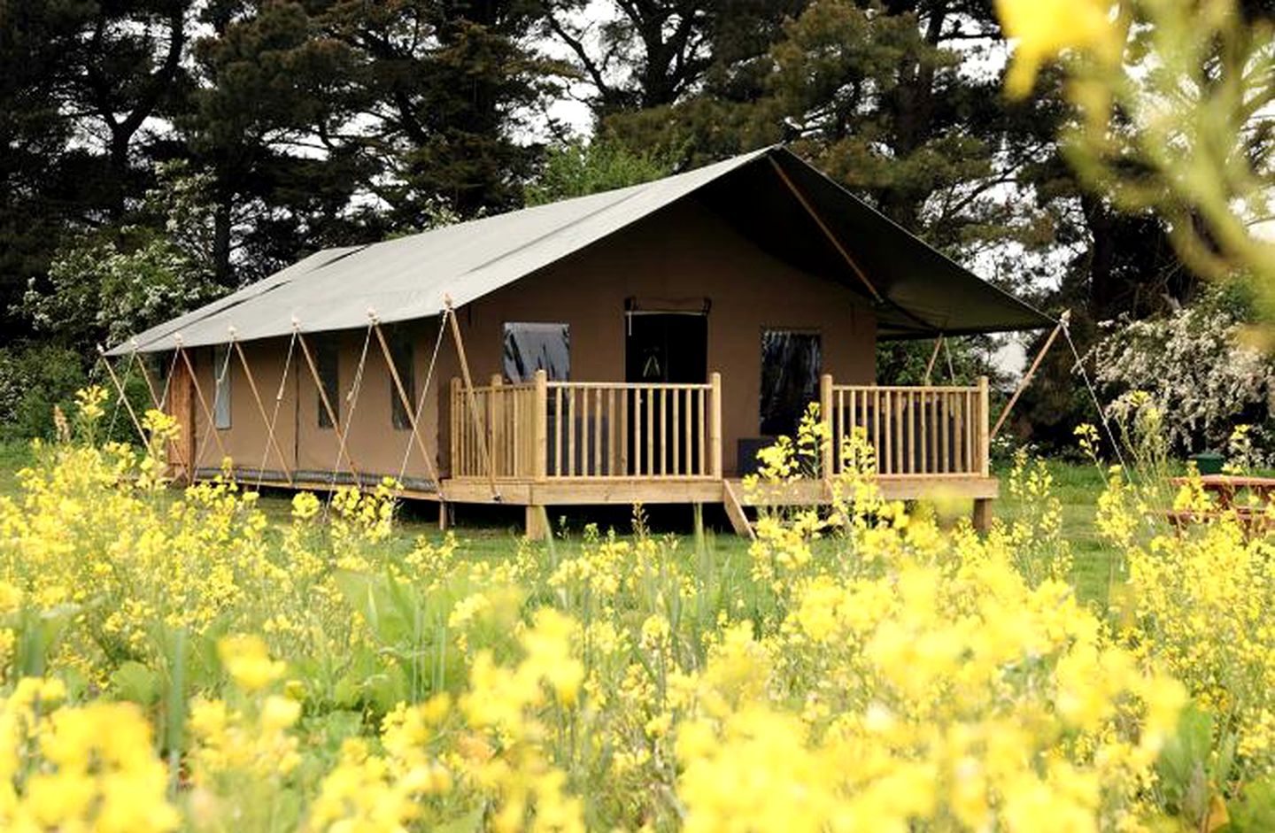 Luxury Glamping Tent on the Scenic English Coast near Burnham Market, Norfolk