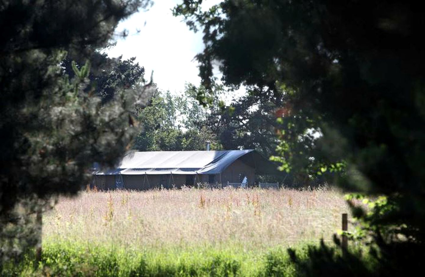 Safari Tent Rental for a Glamping Experience near Scolt Head Nature Preserve, England