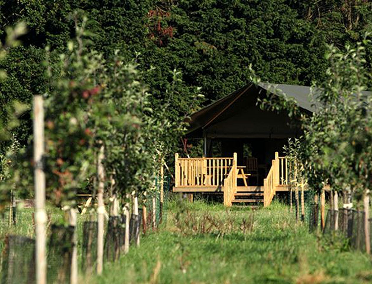 Safari Tent Rental for a Glamping Experience near Scolt Head Nature Preserve, England