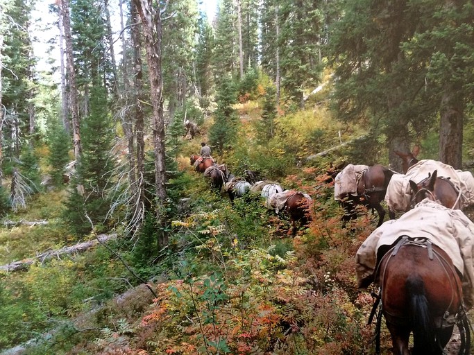 Log Cabins (Alpine, Wyoming, United States)