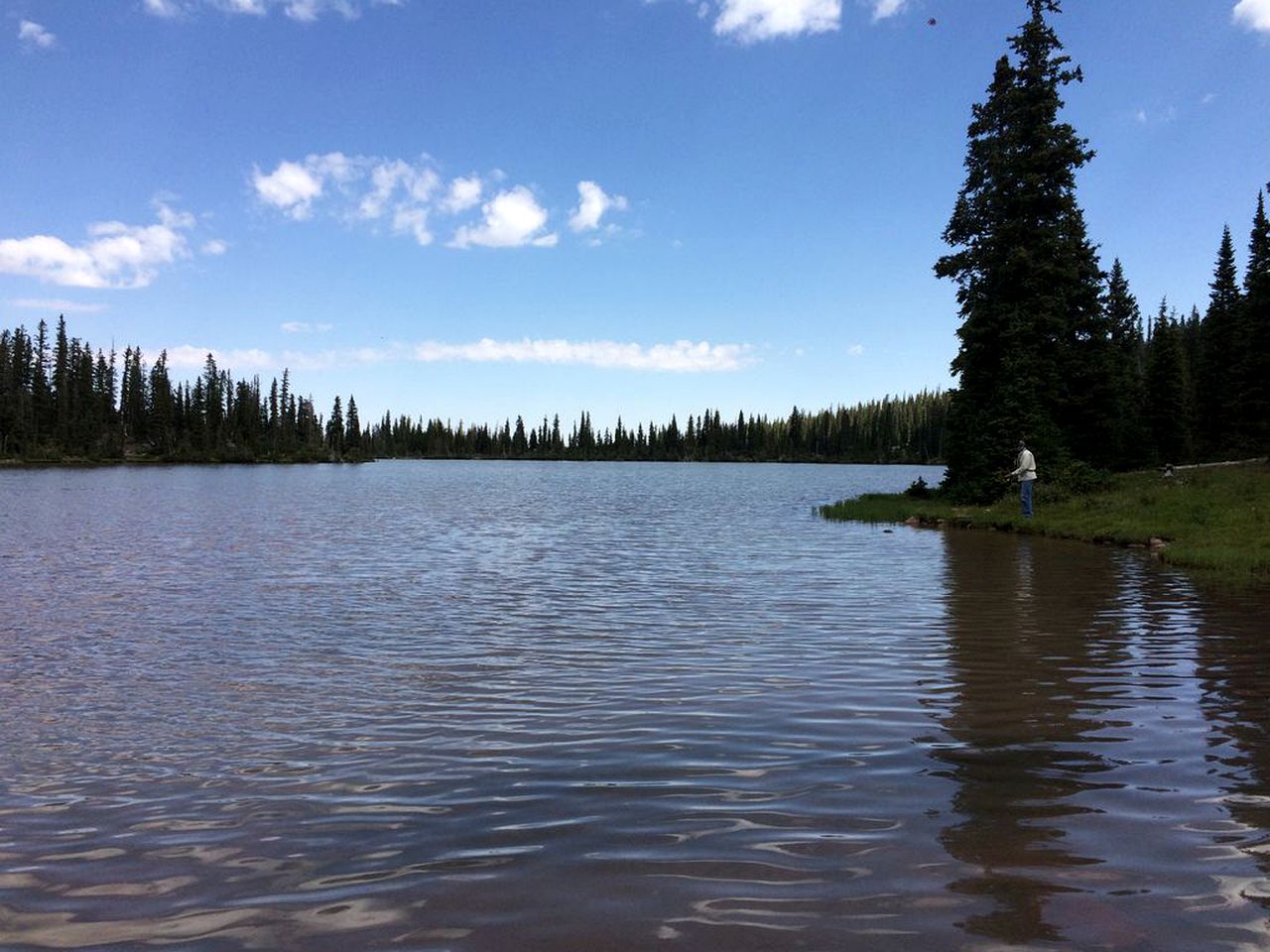 Wonderful Tents on a Pet-Friendly Campground in Afton, Wyoming