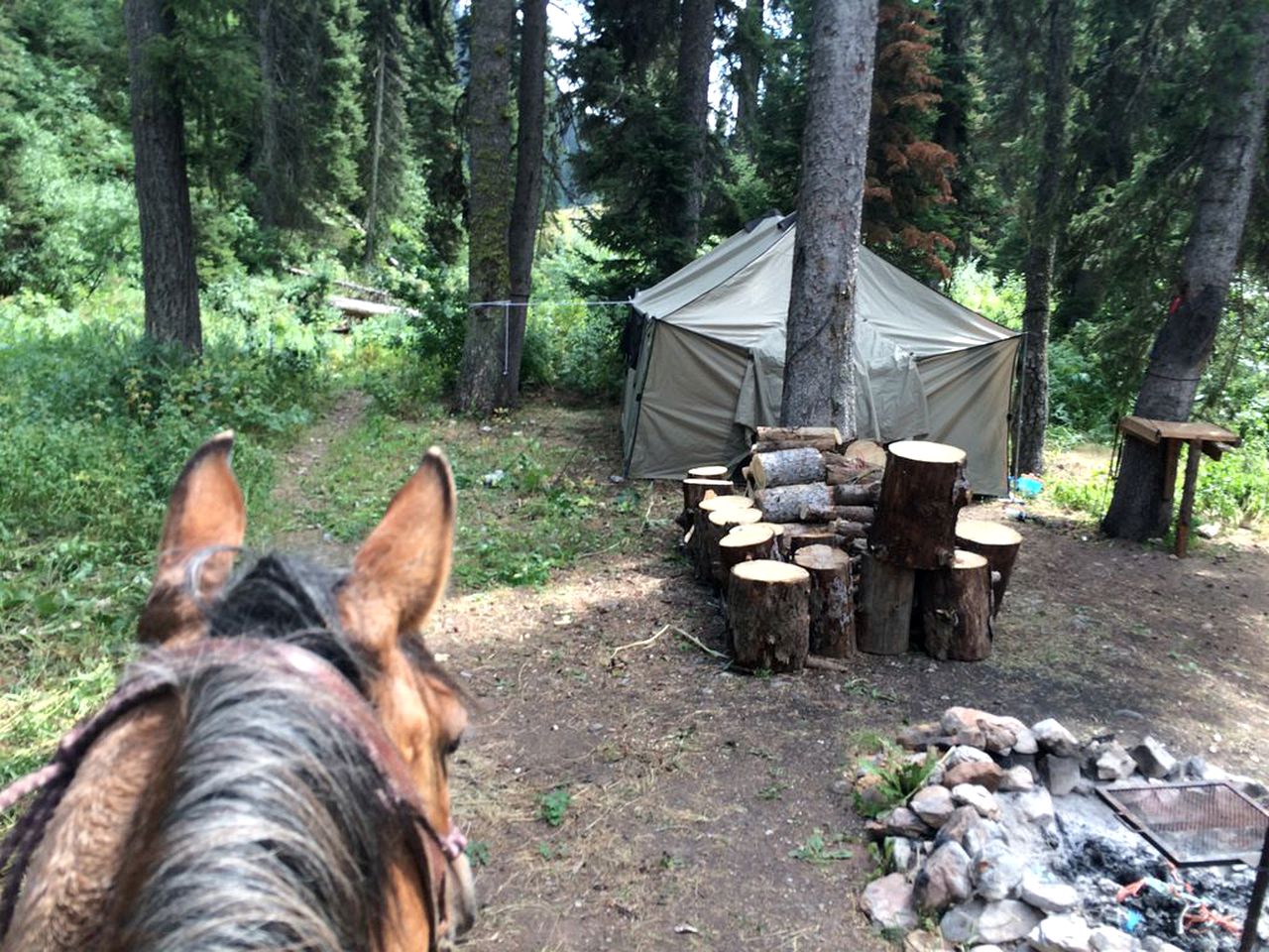 Wonderful Tents on a Pet-Friendly Campground in Afton, Wyoming