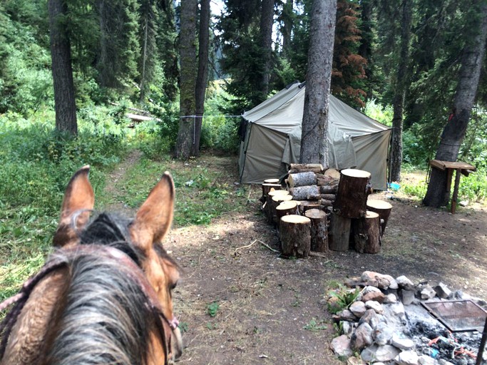 Safari Tents (Afton, Wyoming, United States)