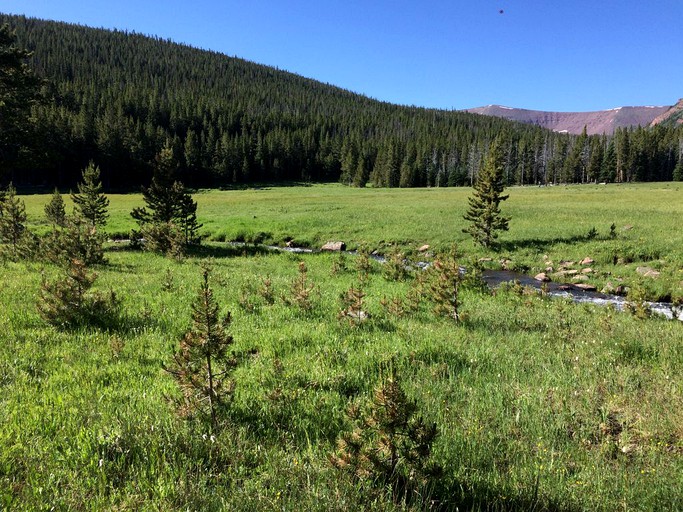 Safari Tents (Afton, Wyoming, United States)