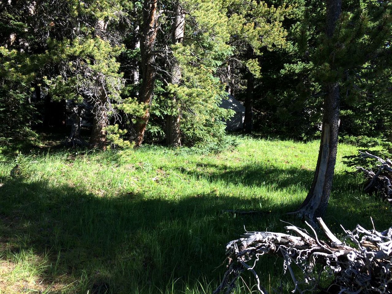 Wonderful Tents on a Pet-Friendly Campground in Afton, Wyoming