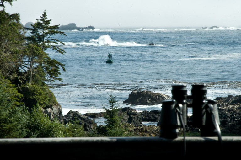 Nature Lodges (Ucluelet, British Columbia, Canada)