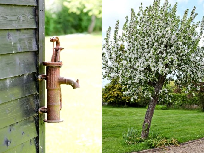 Nature Lodges (Kent, England, United Kingdom)