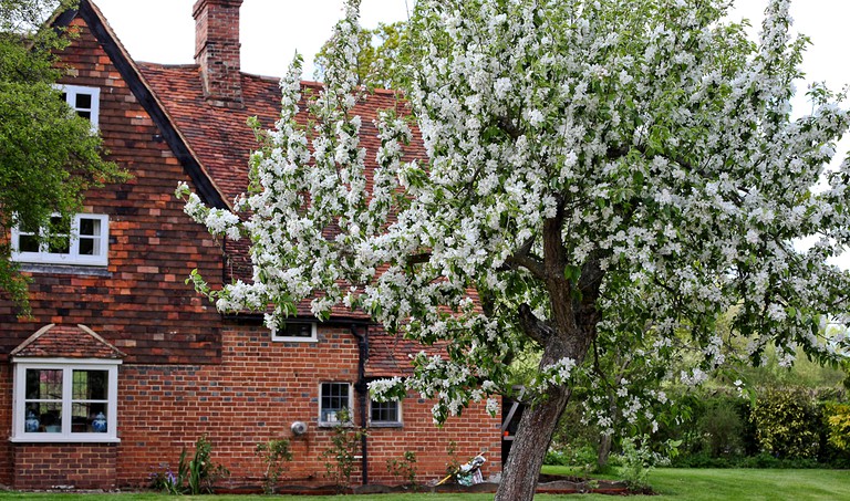 Nature Lodges (Kent, England, United Kingdom)