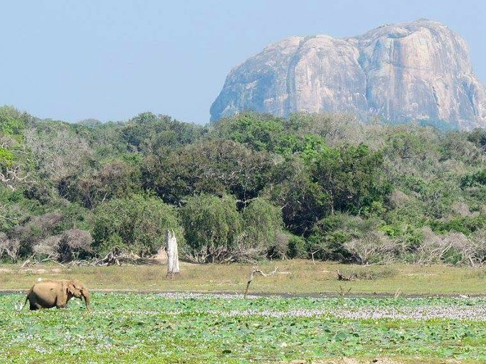 Cabins (Tissamaharama, Southern Province, Sri Lanka)