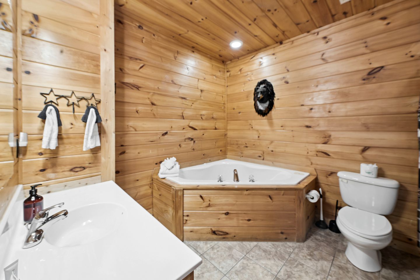 Countryside Charms: Experience Glamping Magic in Sevierville, Tennessee