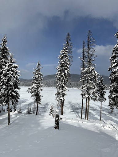 Cabins (United States of America, Flathead County, Montana)