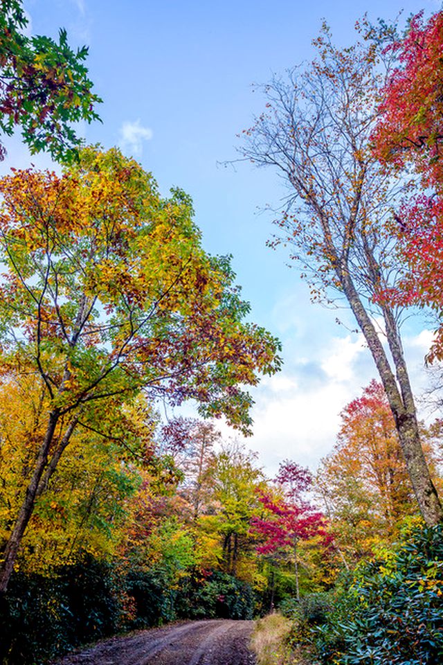 Beautiful Airstream Glamping Site for Romantic Weekends Away in North Carolina