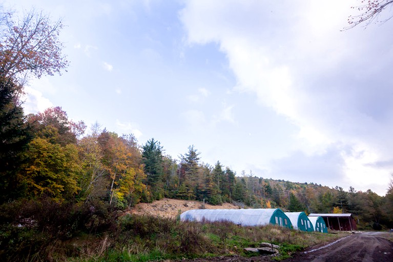 Airstreams (Jonas Ridge, North Carolina, United States of America)