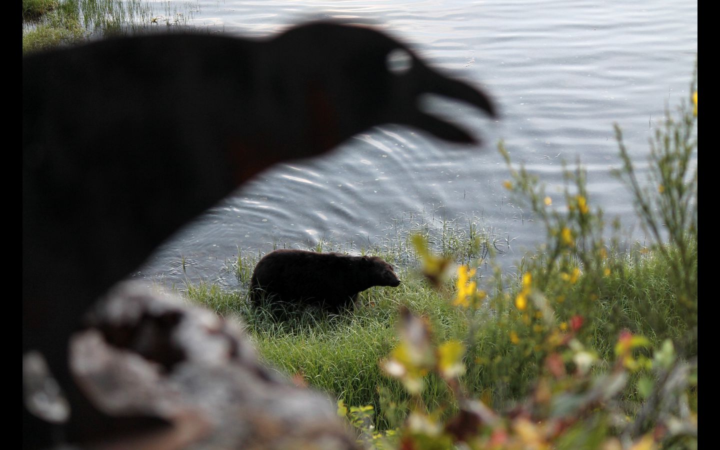 Lovely Room with a Private Hot Tub for a Peaceful Getaway near Ucluelet, British Columbia