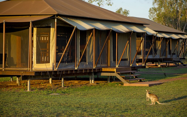 Safari Tents (Arnhem, Northern Territory, Australia)