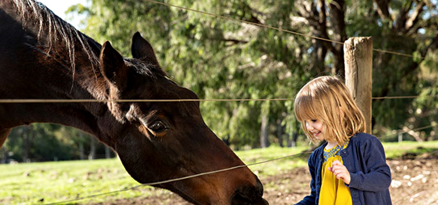 Upscale Cottage Rental near Margaret River in Western Australia