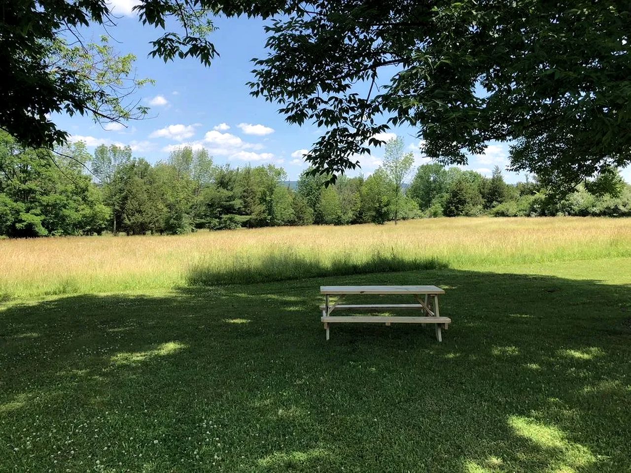 The Savannah House Wine Country Inn & Cottages Pet Friendly Cabins