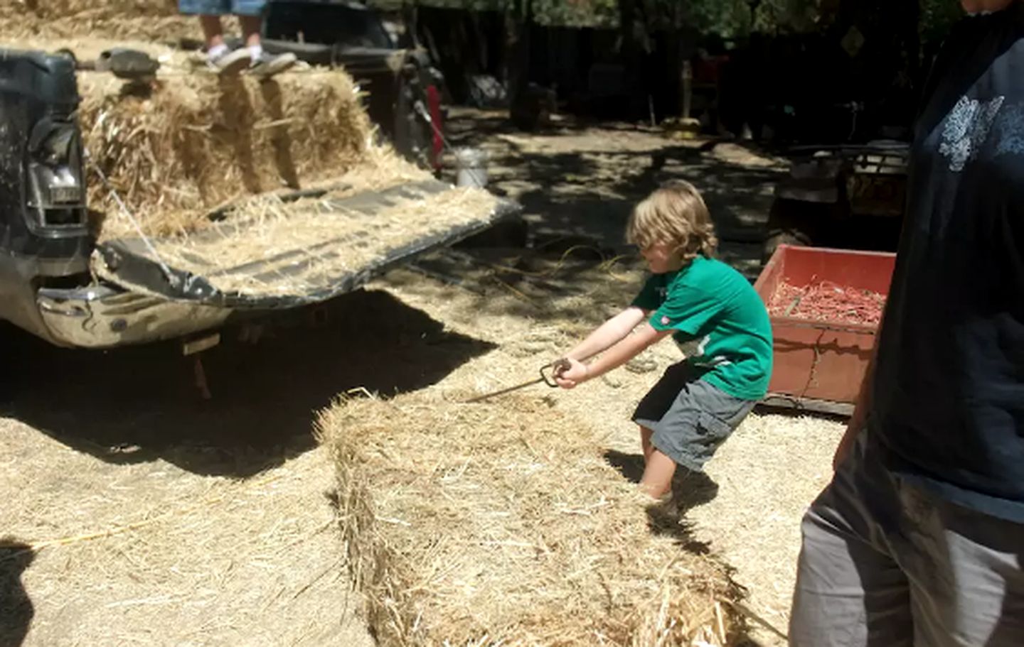 Family-Friendly Cabin Rental on Working Farm near Yosemite National Park, California