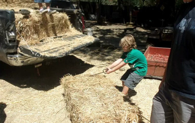 Cabins (Mountain Ranch, California, United States)