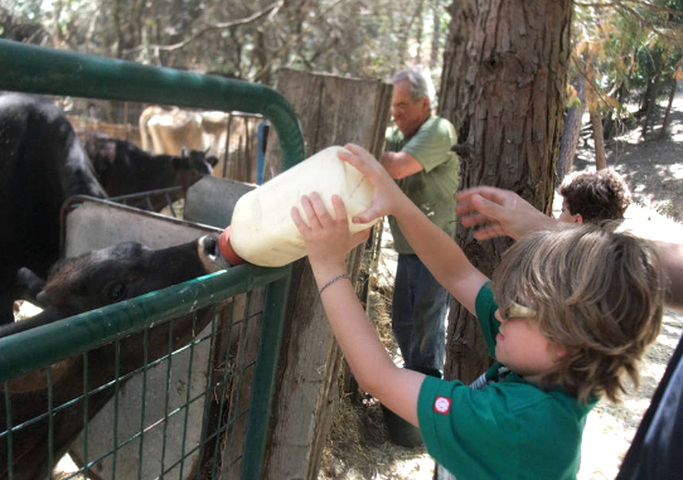 Family-Friendly Cabin Rental on Working Farm near Yosemite National Park, California