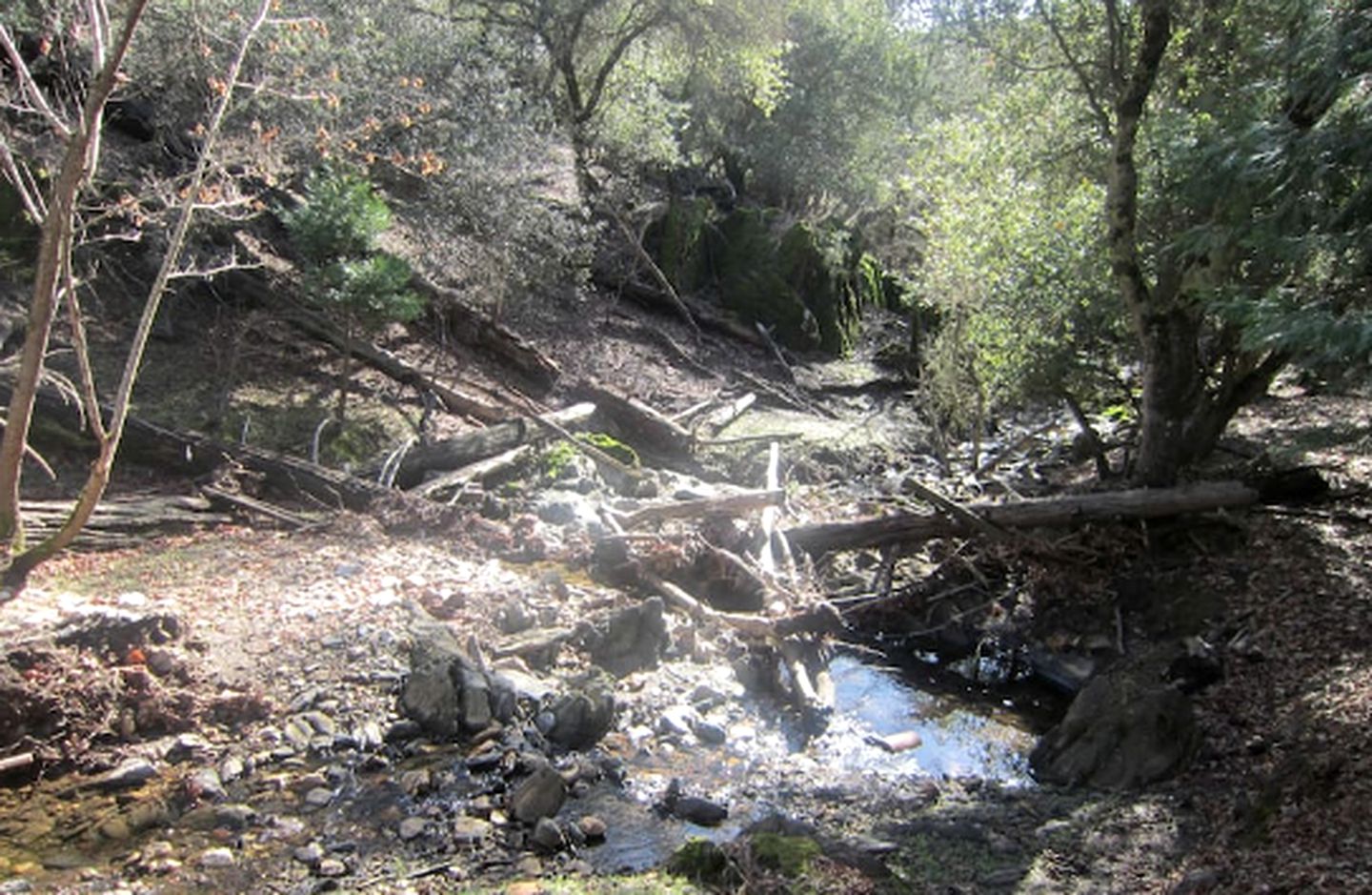 Family-Friendly Cabin Rental on Working Farm near Yosemite National Park, California