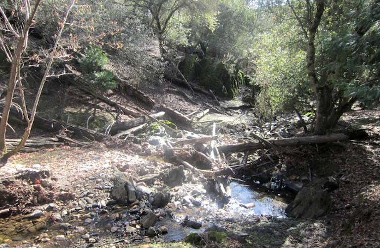 Cabins (Mountain Ranch, California, United States)