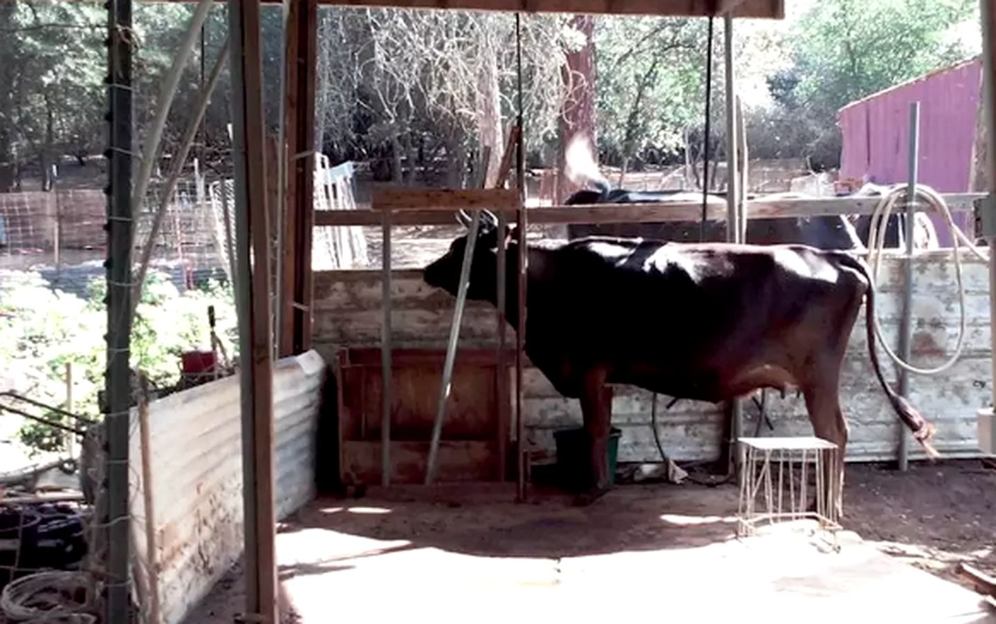 Family-Friendly Cabin Rental on Working Farm near Yosemite National Park, California