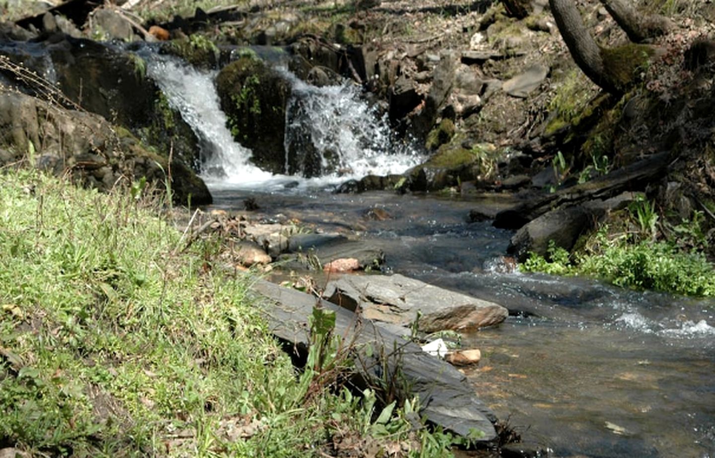 Family-Friendly Cabin Rental on Working Farm near Yosemite National Park, California