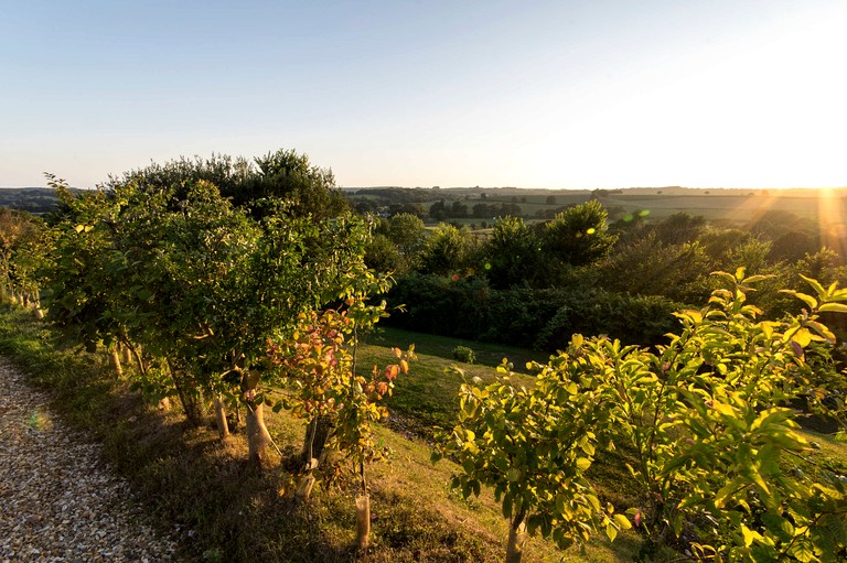 Vacation Rentals (United Kingdom, --, England)