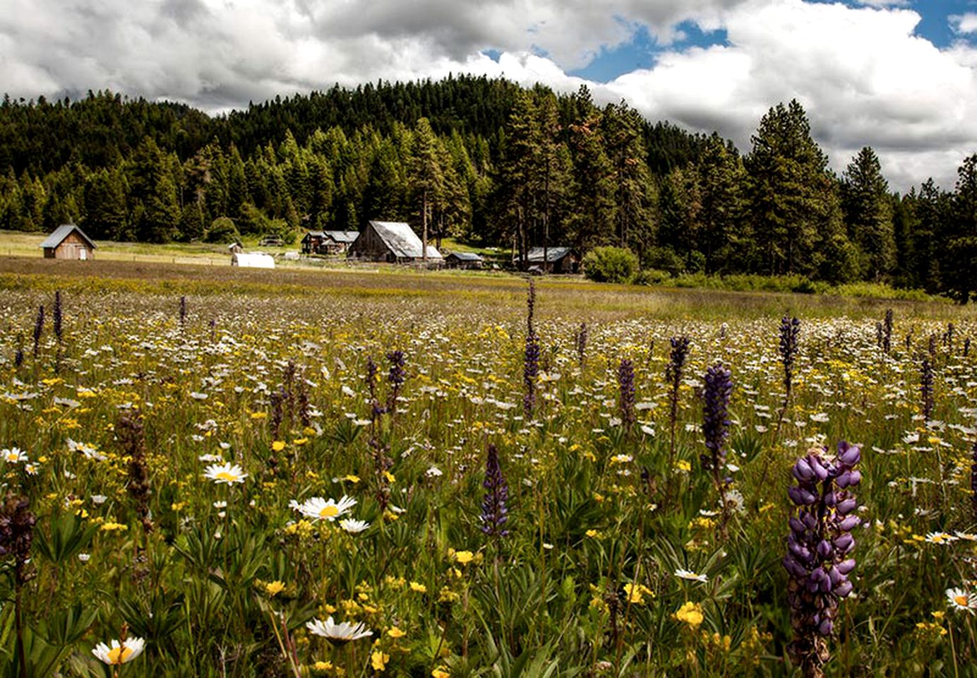 Camping Getaway near Medford, Oregon