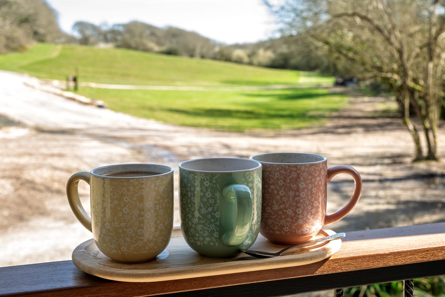 Peaceful Shepherd’s Hut Retreat with Woodland Views in England, United Kingdom