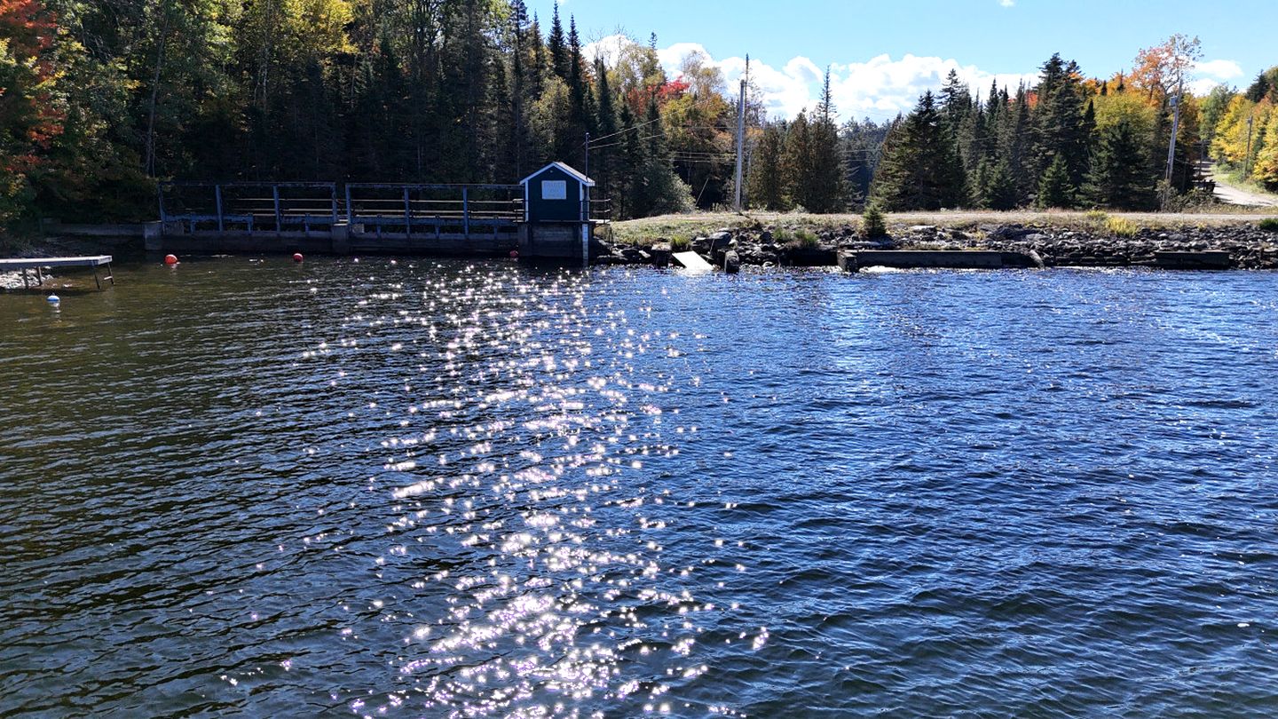 Secluded Cabin with River Access in Greenville, Maine