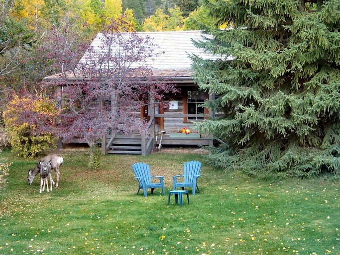 Rustic cabin rental on Lake Windermere
