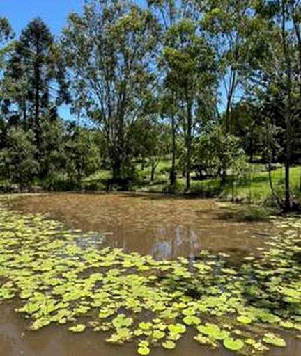 Tiny Houses (Australia, Wights Mountain, Queensland)