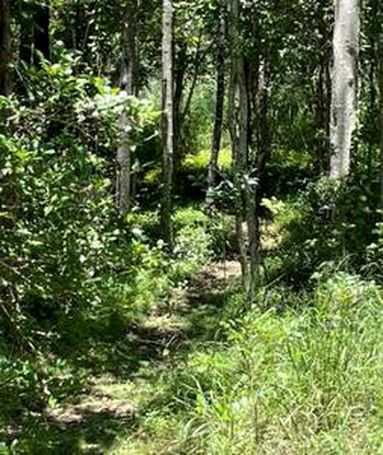 Tiny Houses (Australia, Wights Mountain, Queensland)