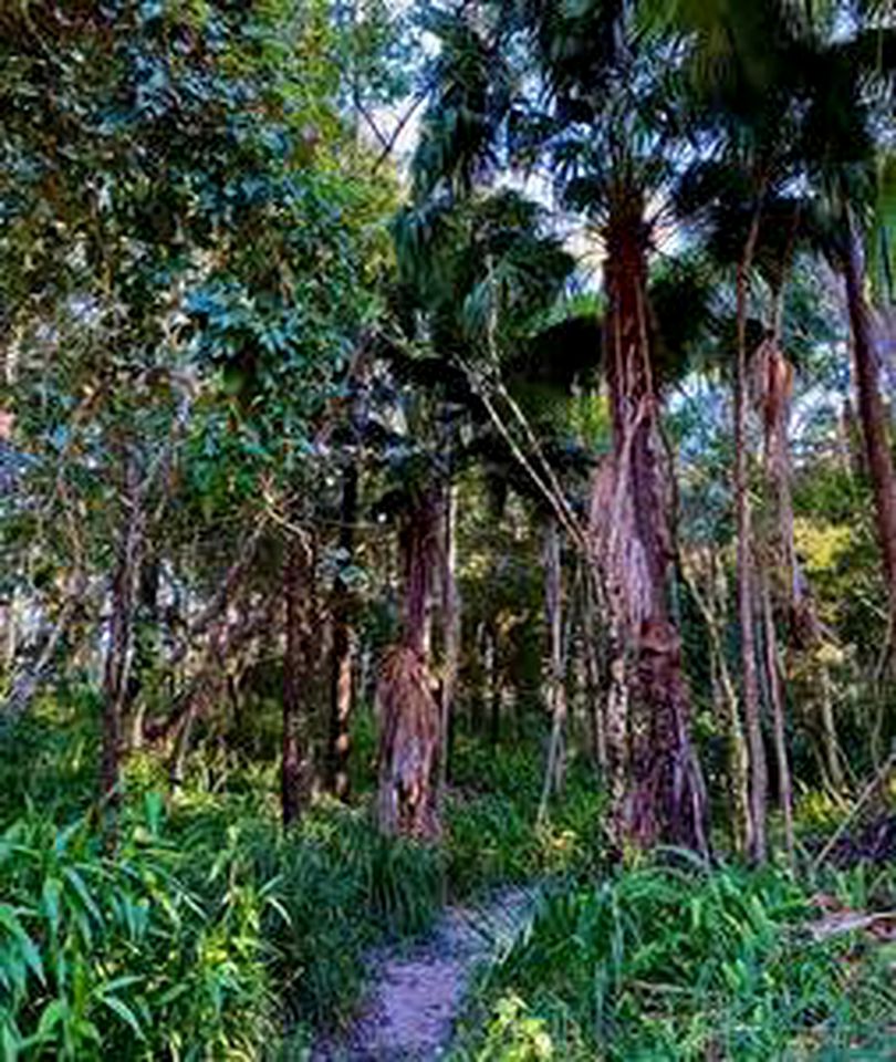 Wonderful Tiny House with Amazing Views and Lovely Exterior in Wights Mountain, Queensland