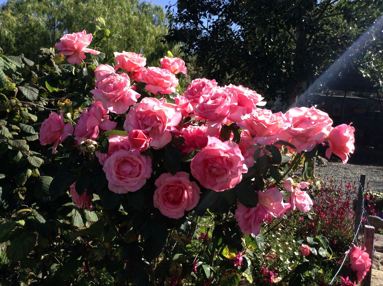 Tranquil Cottage Rental on 28 Scenic Acres in the Huon Valley of Southern Tasmania