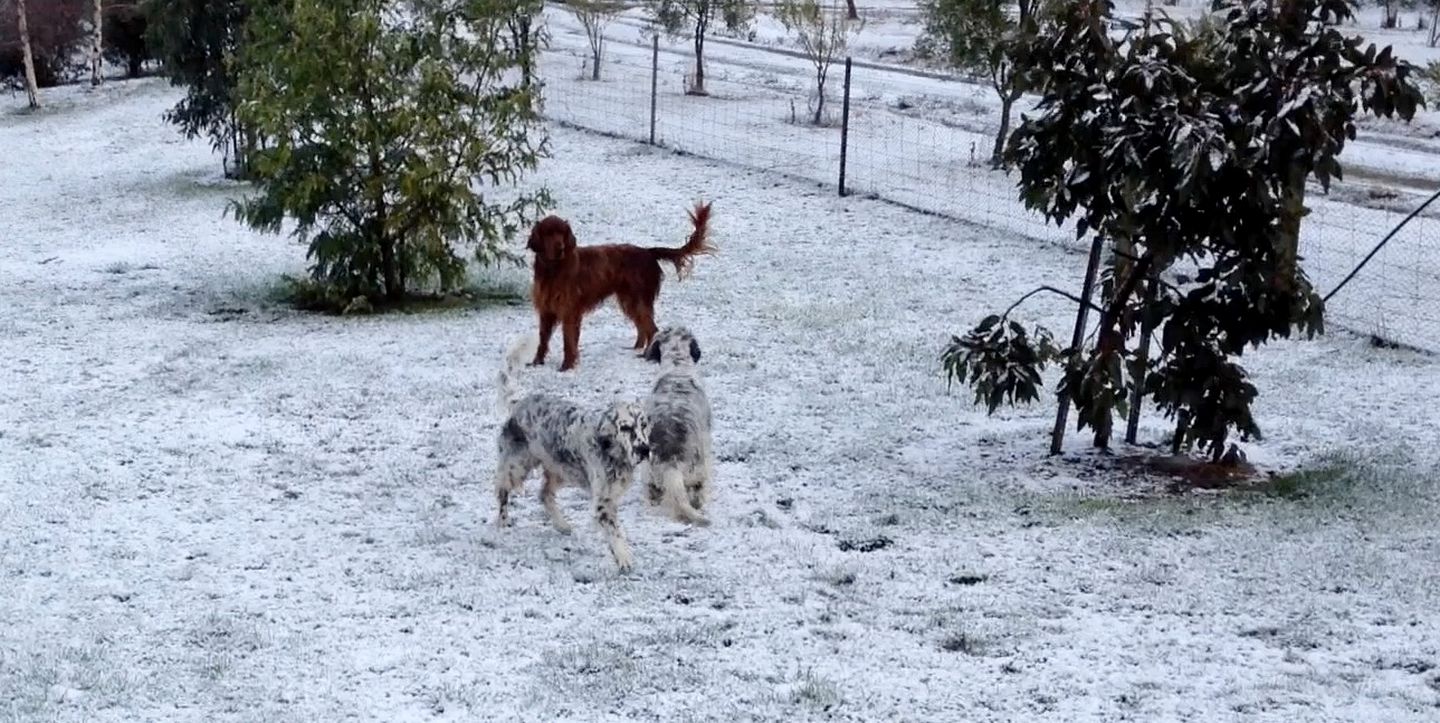 Tranquil Cottage Rental on 28 Scenic Acres in the Huon Valley of Southern Tasmania