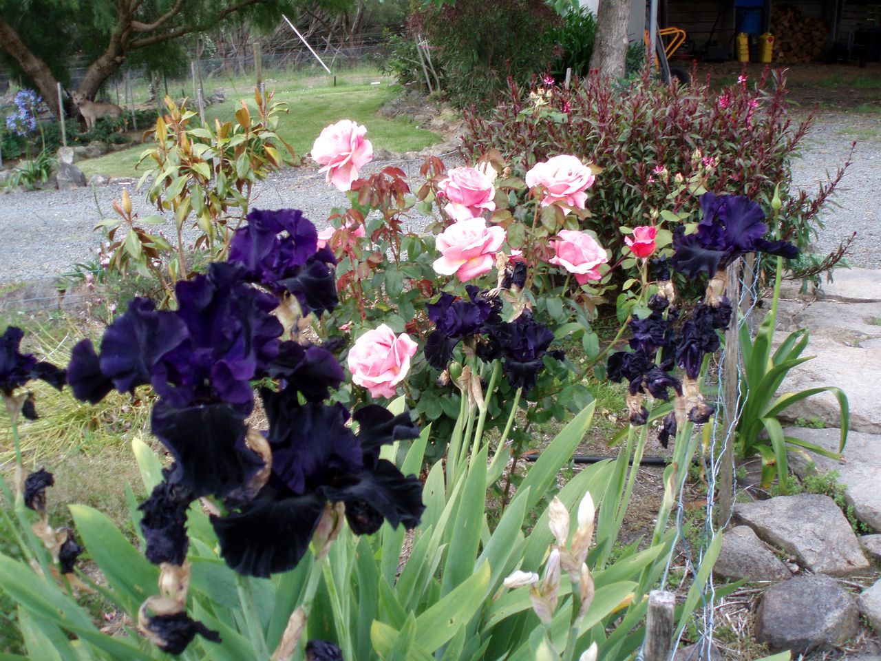 Tranquil Cottage Rental on 28 Scenic Acres in the Huon Valley of Southern Tasmania