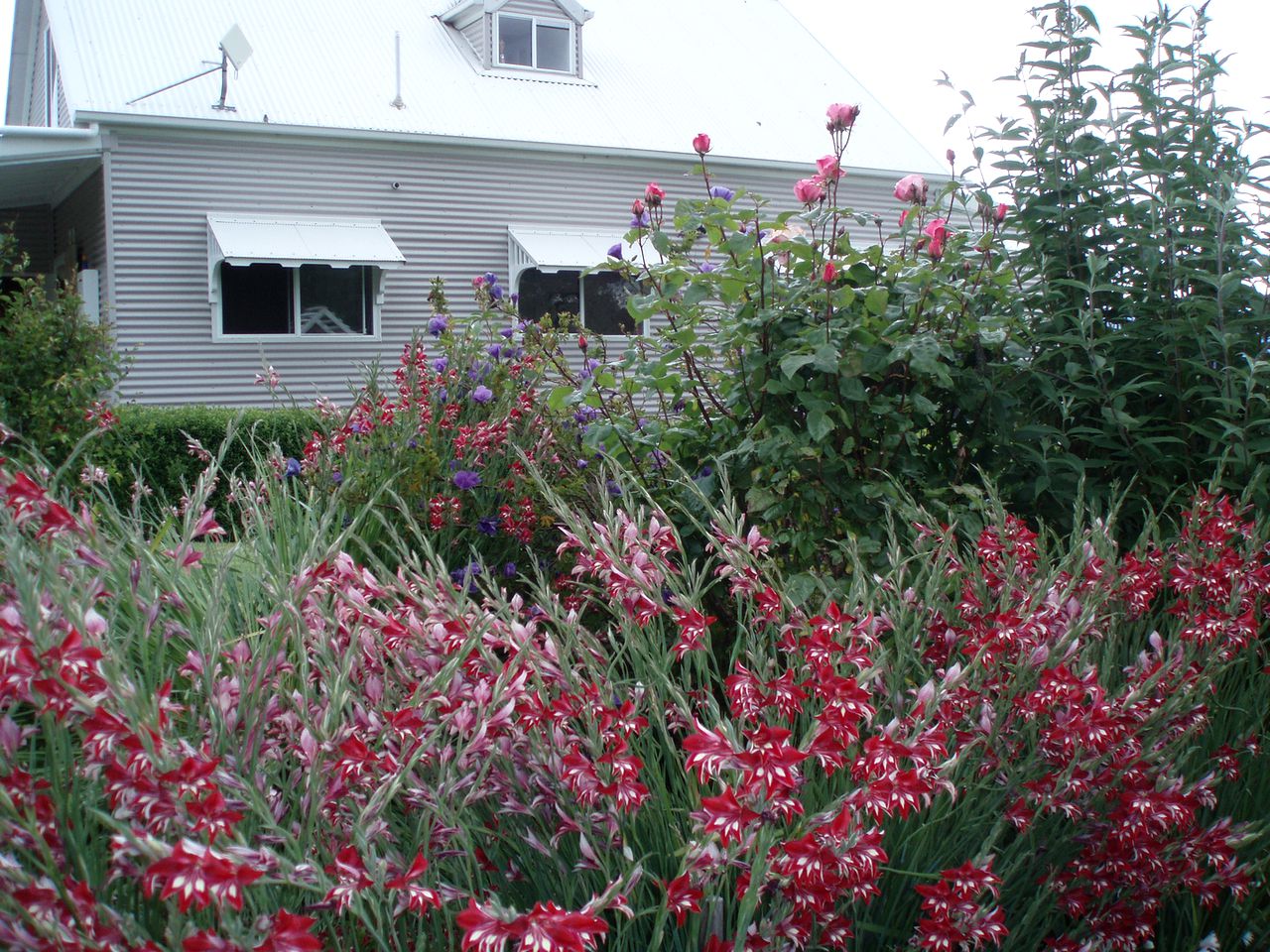 Tranquil Cottage Rental on 28 Scenic Acres in the Huon Valley of Southern Tasmania