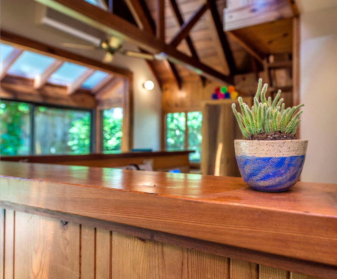 Rustic Cabin Rental with Hot Tub near the Russian River in Guerneville, California