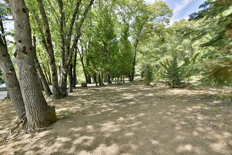 Vacation Rentals (United States of America, Mount Shasta, California)