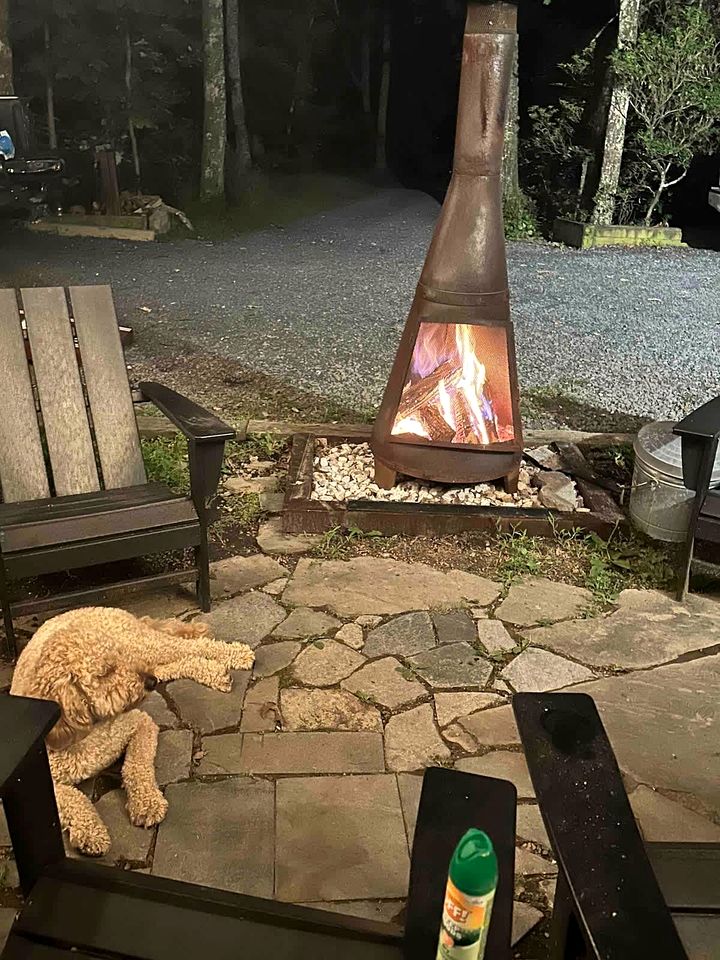 Wintergreen Getaways in this Charming Cabin Rental with Hot Tub and Fire Pit