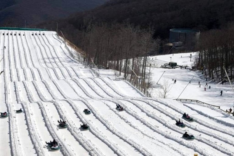 Cabins (United States of America, Wintergreen, Virginia)