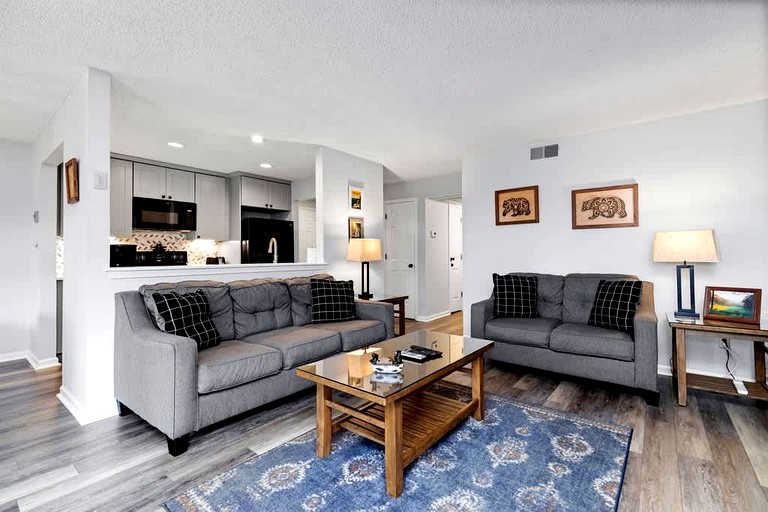 Vacation Rentals (United States of America, Wintergreen Resort, Virginia)